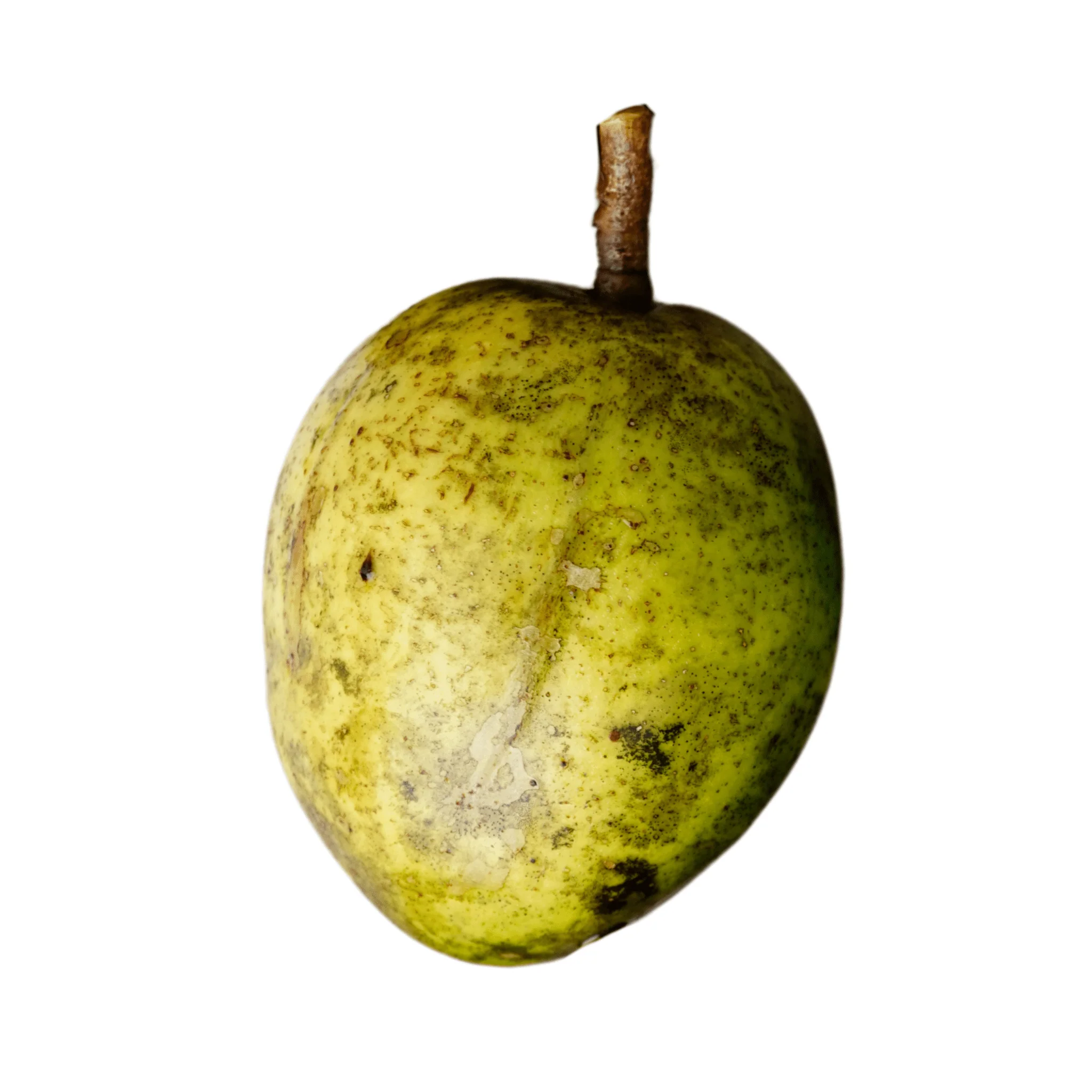 Golden Apple - Ambarella