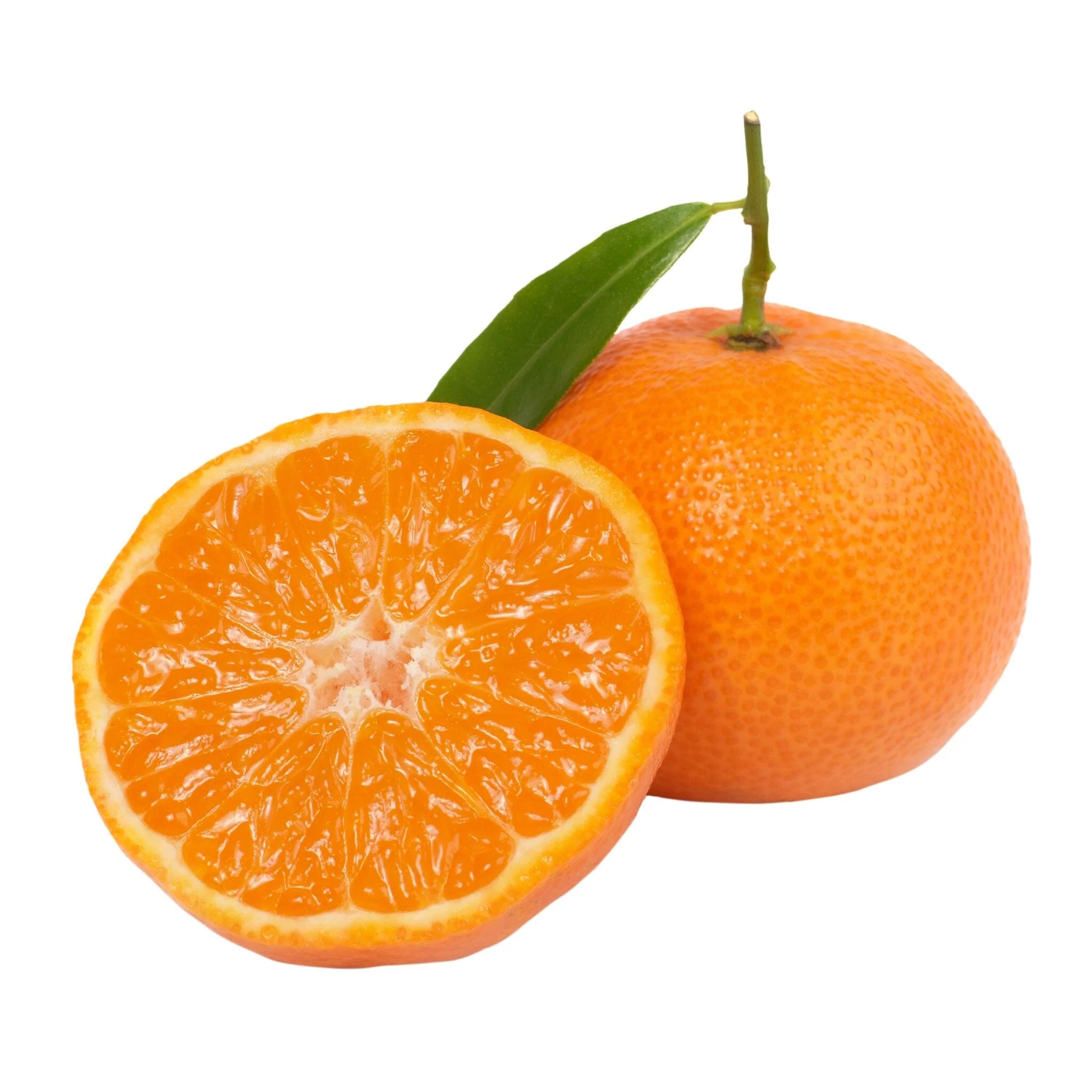 Clementine - Octubrina
