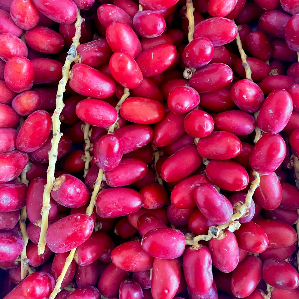Dates - Red Fresh - Image 2