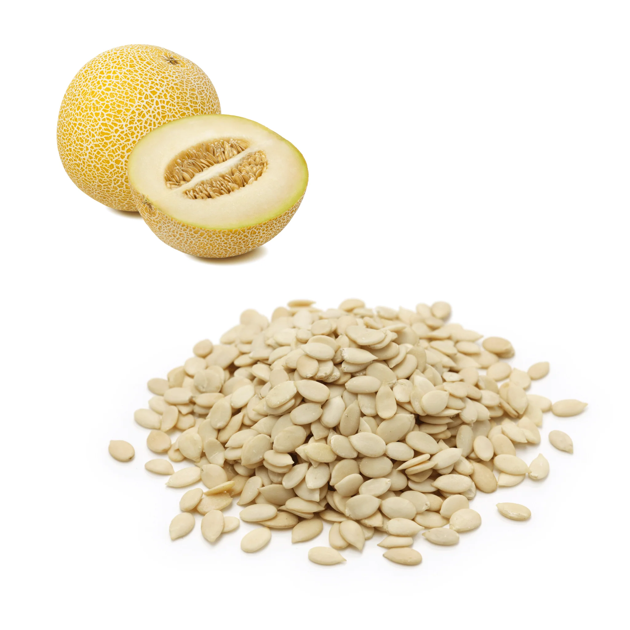 Melon - Galia Seeds