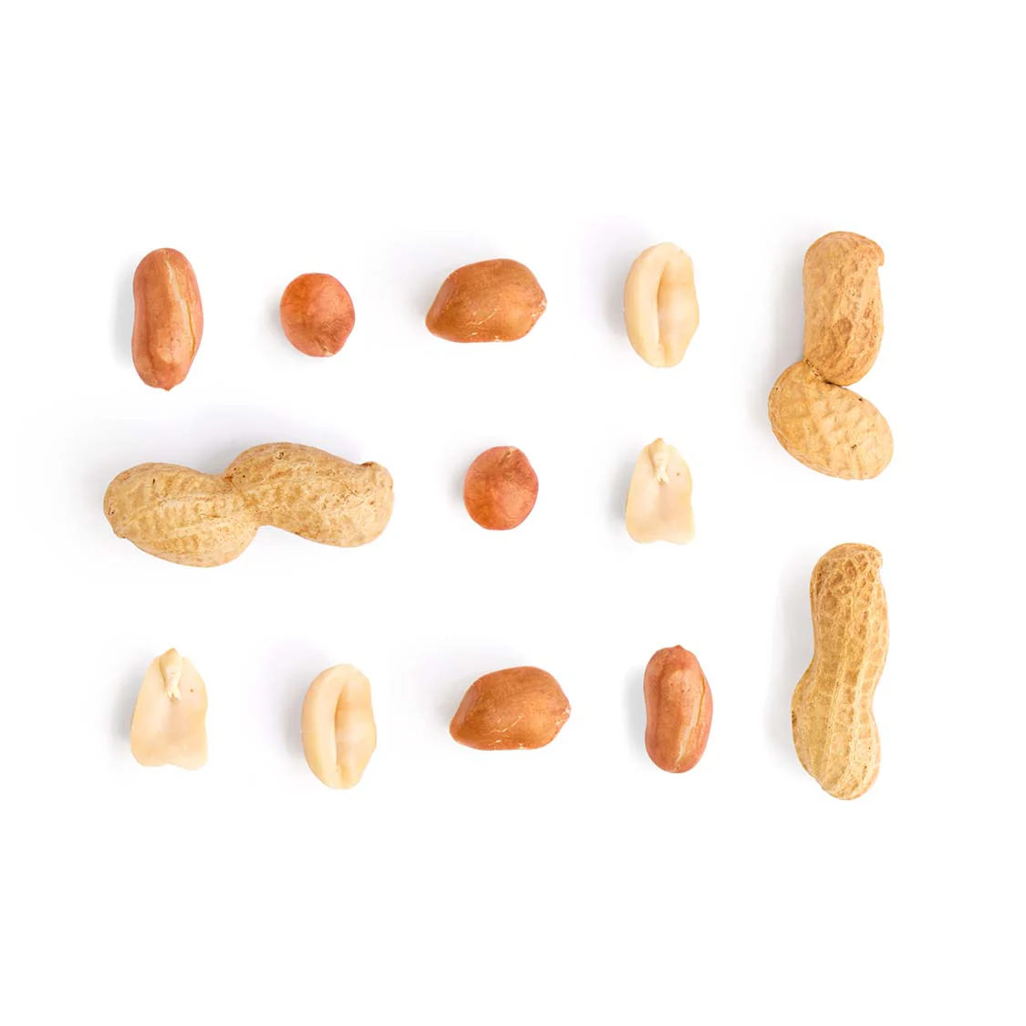 Nut - Groundnut - Image 2