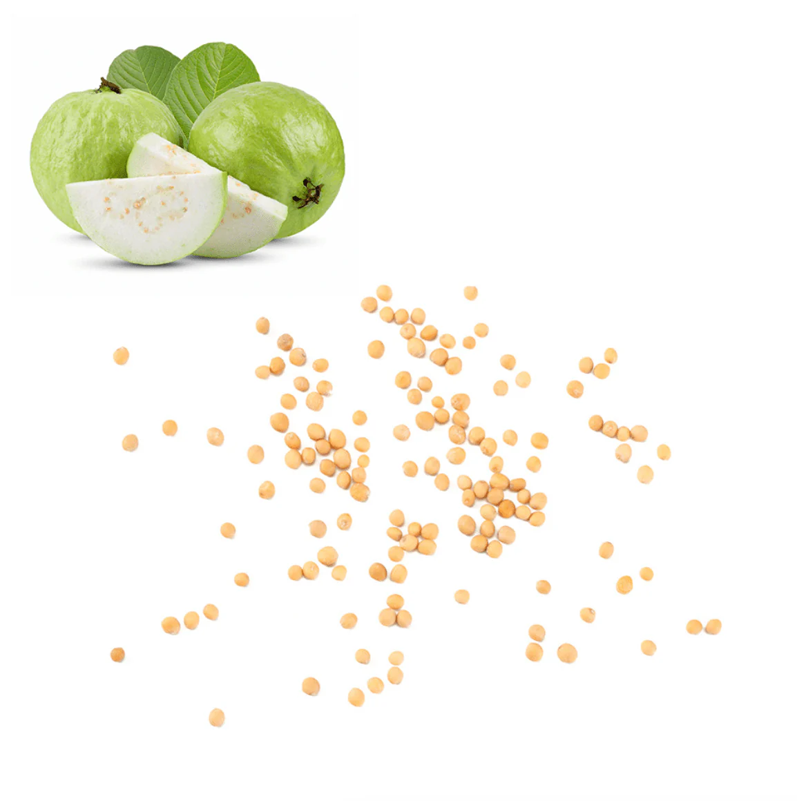 Guava - White Seeds