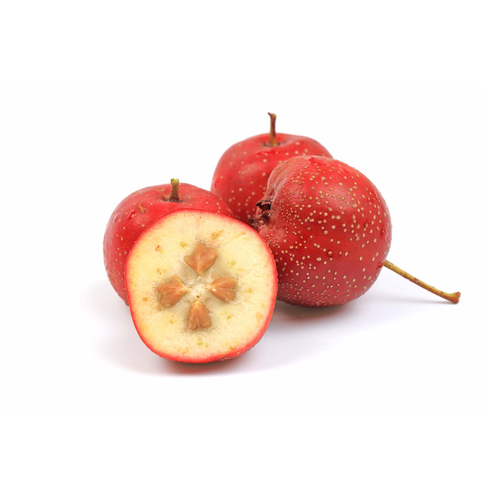 Hawthorn Berries