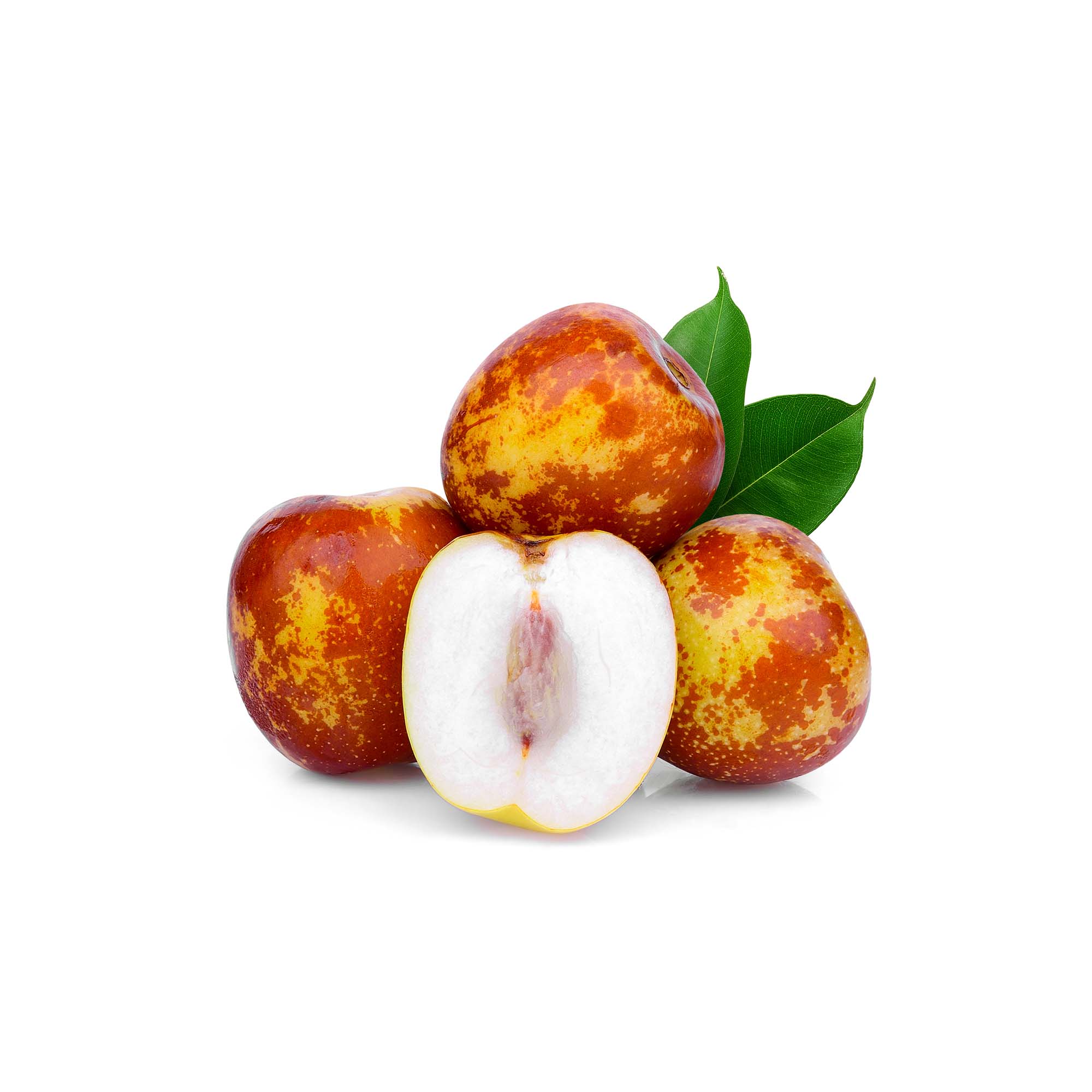 Jujube - Chinese Date