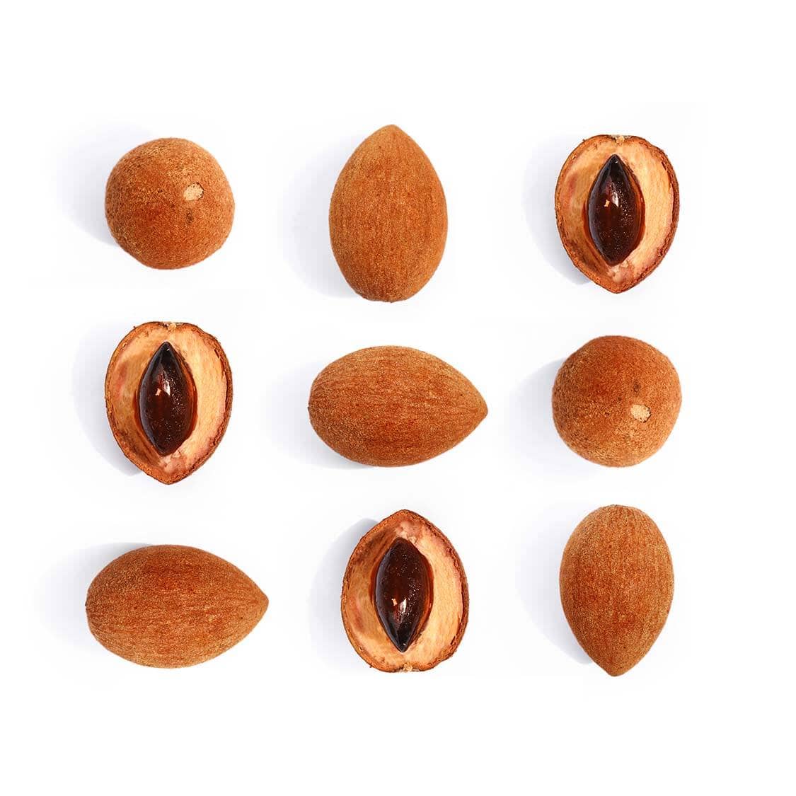 Mamey Sapote / Pouteria Sapota - Image 2