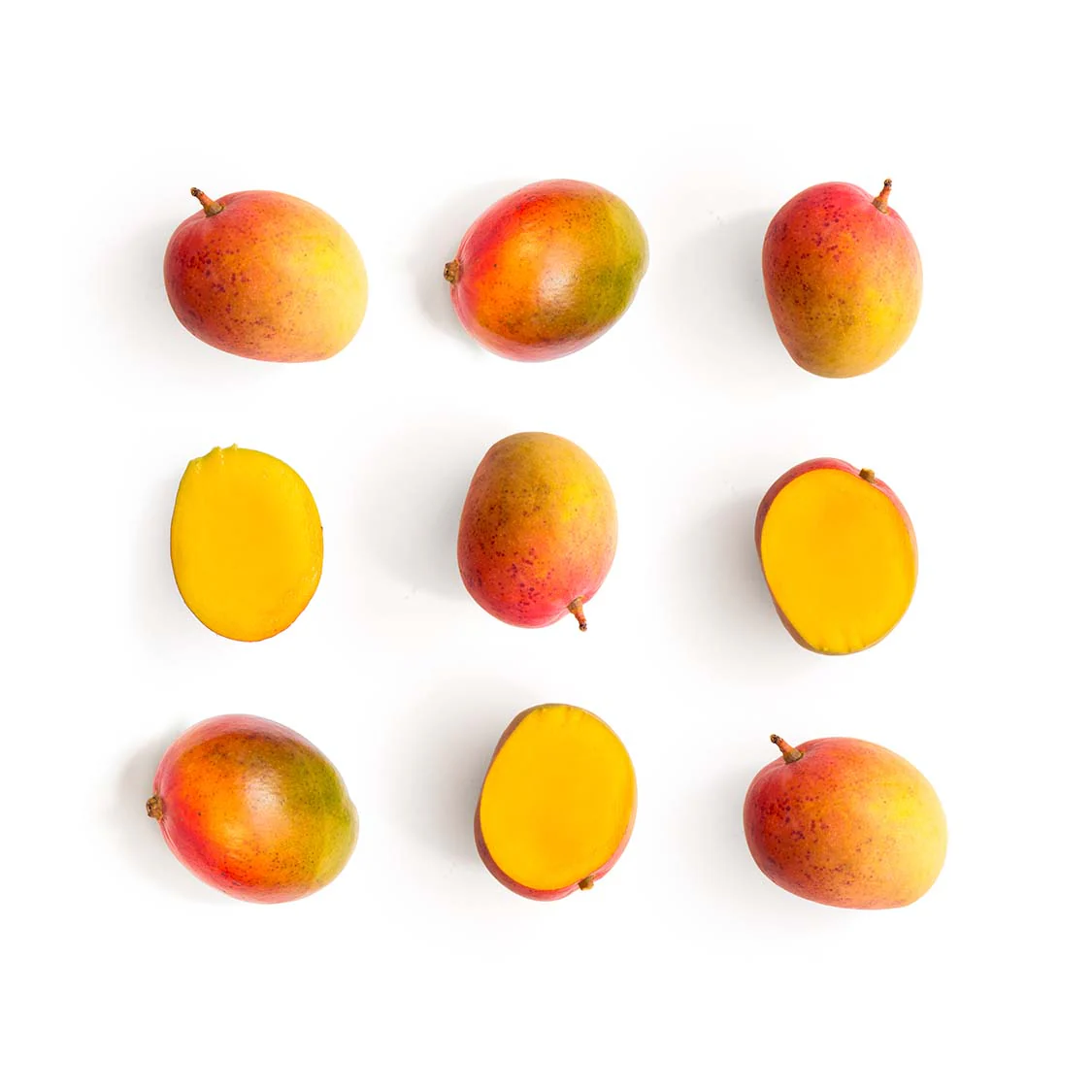 Mango - Tommy - Image 2