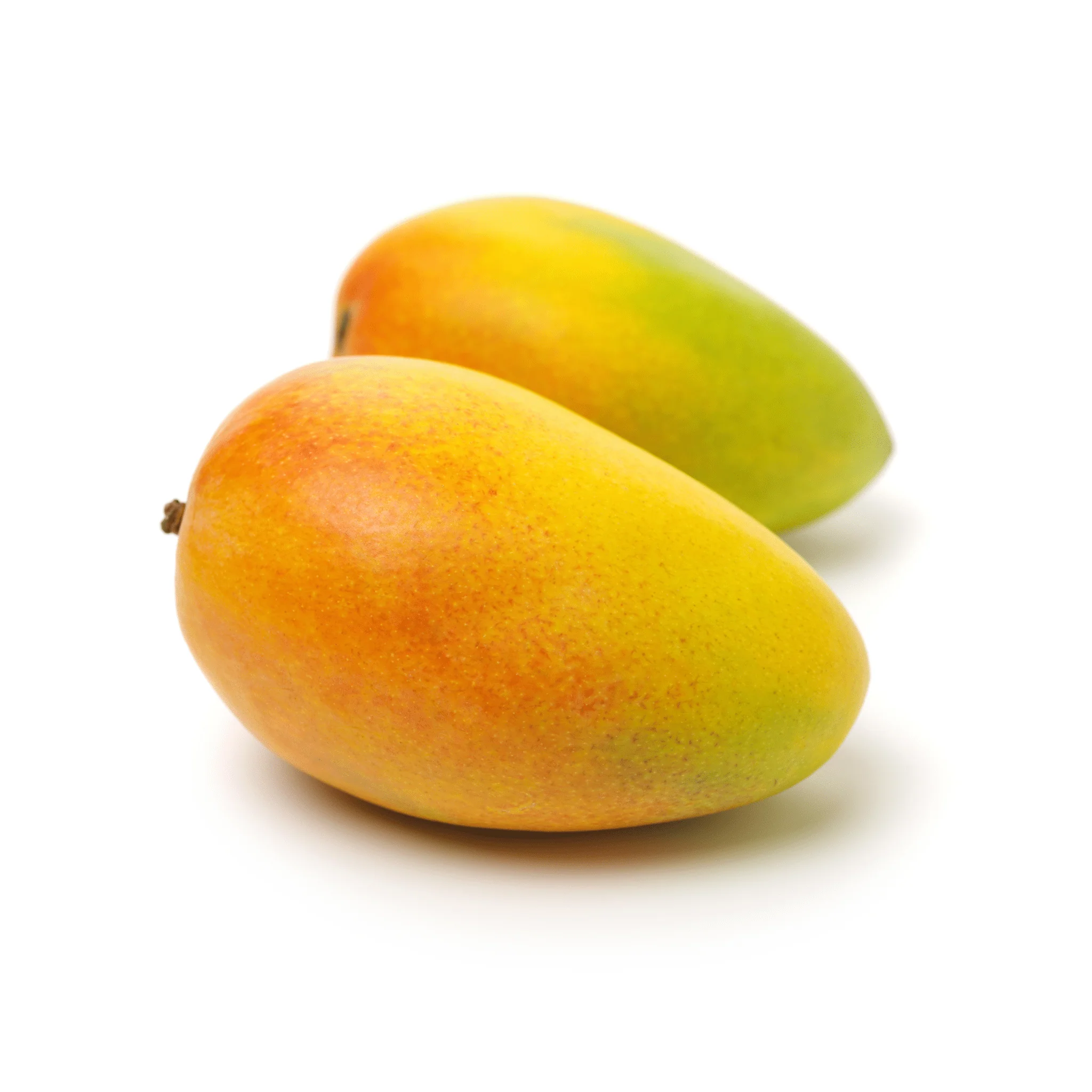 Mango - Cat Chu