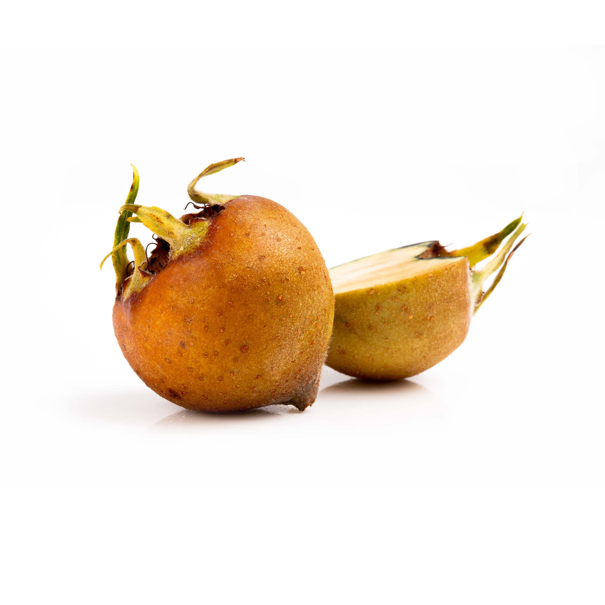 Musmula - Medlar
