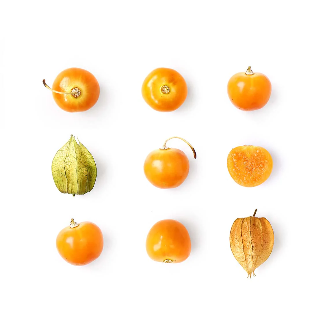 Physalis - Image 2