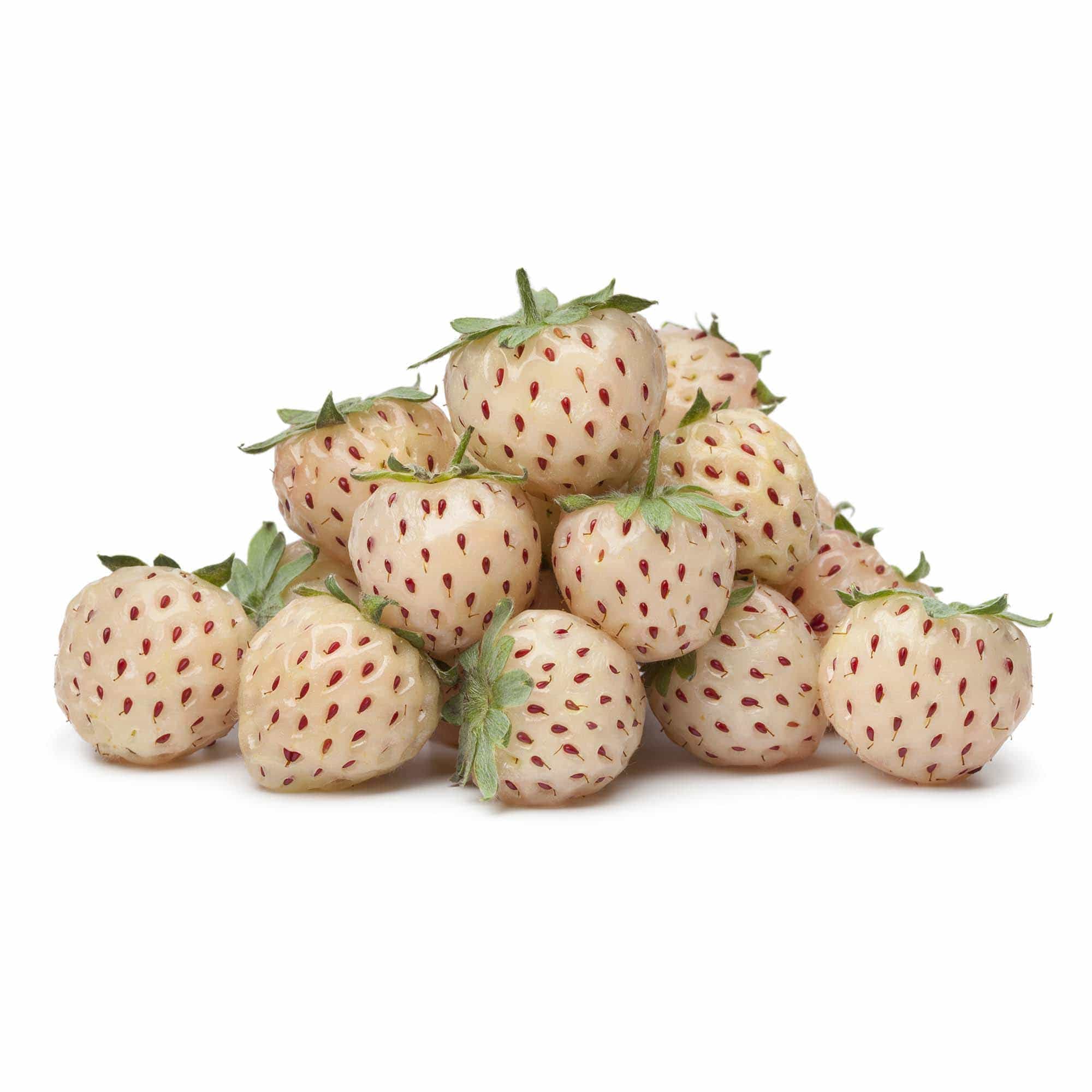 Strawberry - Pineberry - Image 2