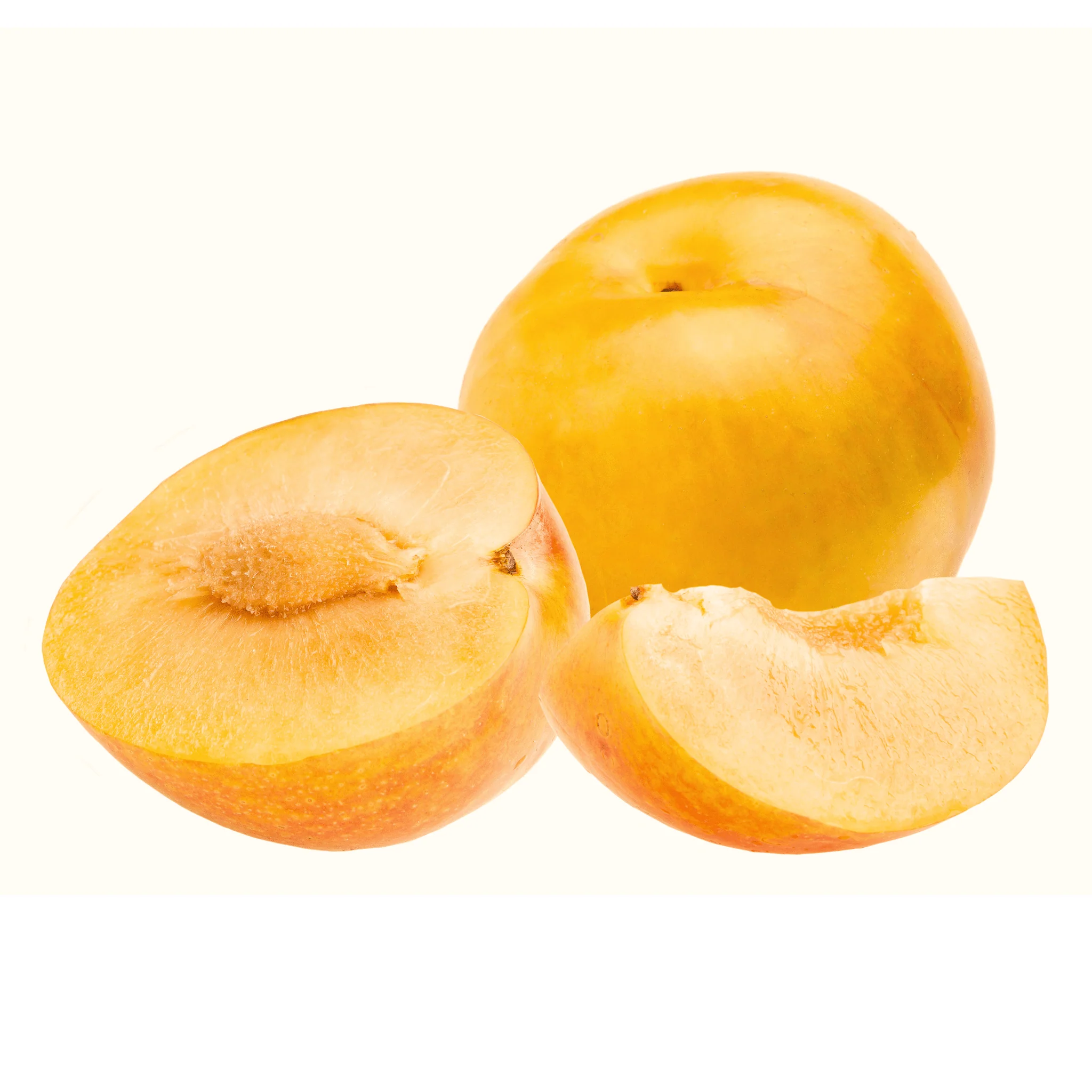 Plum - Gold