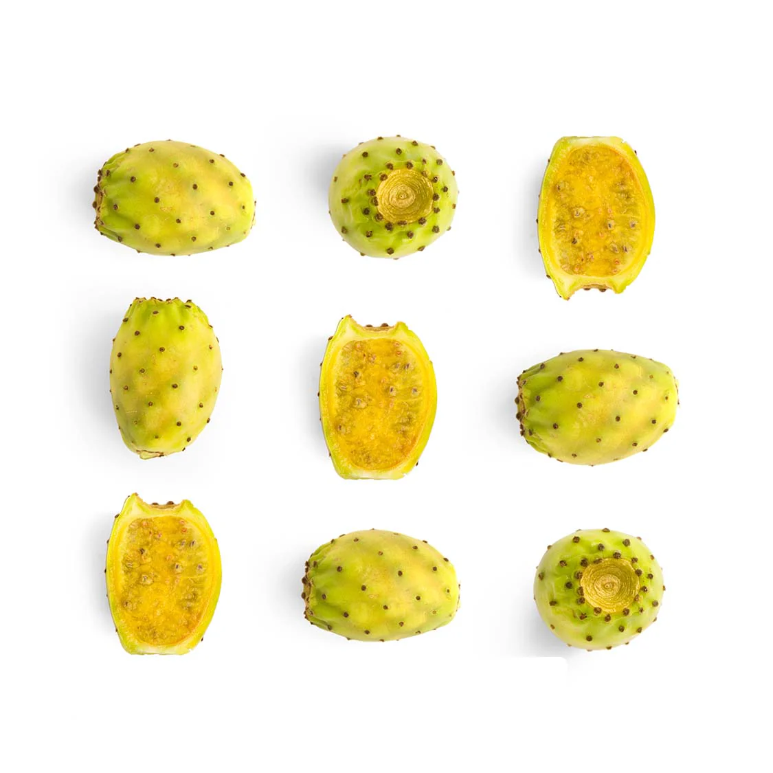 Prickly Pear - Cactus Fig - Image 2