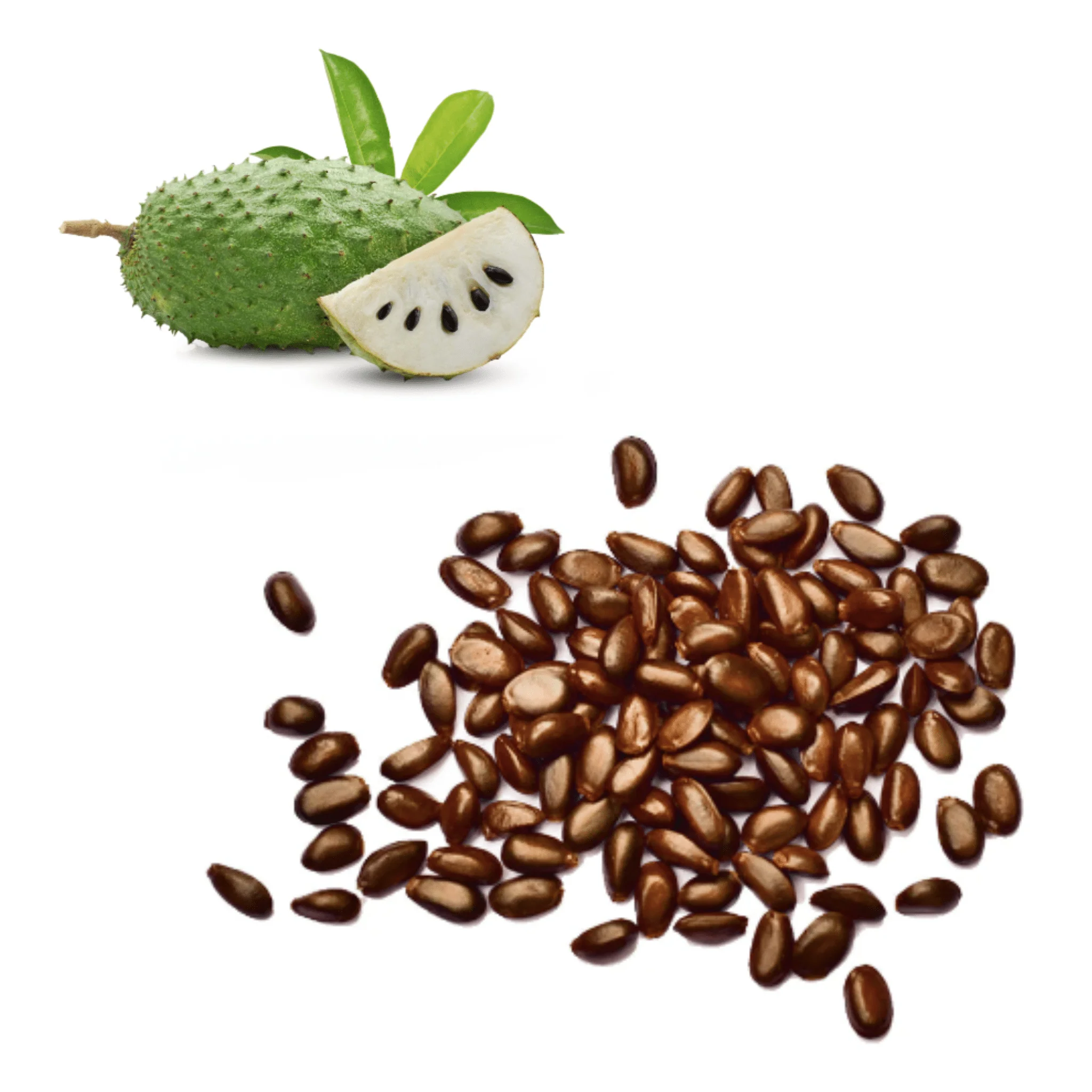 Soursop Seeds
